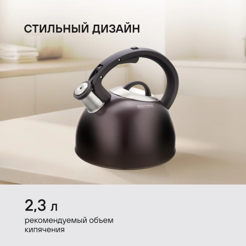 Чайник металлический Rondell Tierno RDS-1900