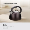 Фото превью Чайник металлический Rondell Tierno RDS-1900
